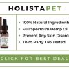 Why Using Cbd Oil For Dogs Is Important
