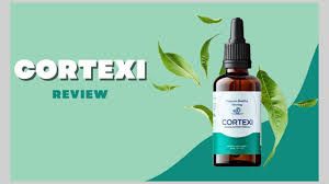 Gain Higher Details About Cortexi Results