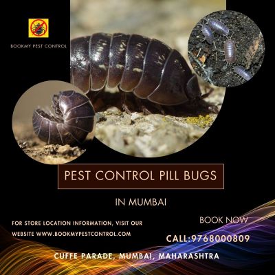https://www.bookmypestcontrol.com/pestcontrolpillbugsinmumbai//  -  Are you looking for PEST CONTROL PILL BUGS IN MUMBAI then you can contact at - 9768000809