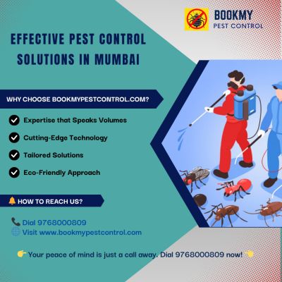 Maintaining a pest-free environment in Mumbai is a collective responsibility. With the threat of diseases and property damage looming, it's crucial to invest in professional pest control services. BookMyPestControl.com stands out as a reliable partner in this endeavor, offering tailored solutions backed by expertise and advanced technology. Don't let pests take over – take control with BookMyPestControl.com!
https://www.bookmypestcontrol.com/ 
https://www.bookmypestcontrol.com/pestcontrolservice 
https://www.bookmypestcontrol.com/pestcontrolnearme 
https://www.bookmypestcontrol.com/insectfinder