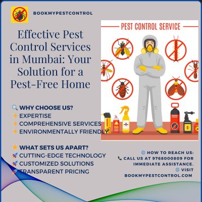 Don't let pests disrupt your peace of mind and compromise the well-being of your family. With professional pest control services from BookMyPestControl, you can ensure a pest-free home in Mumbai. Take the proactive step towards a healthier living environment by availing their services today. Say goodbye to unwanted guests and hello to a clean, pest-free home!
https://www.bookmypestcontrol.com/ 
https://www.bookmypestcontrol.com/pestcontrolservice 
https://www.bookmypestcontrol.com/pestcontrolnearme 
https://www.bookmypestcontrol.com/insectfinder